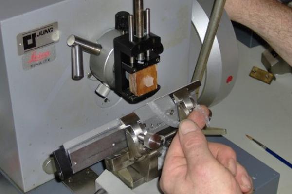 Rotary microtome